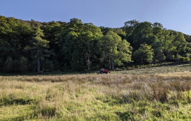 Tractor in a field