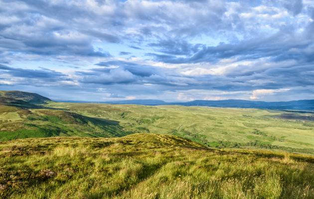 Rural Scotland