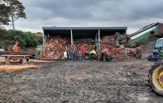 Community wood processing plant 