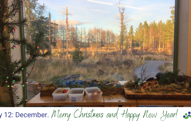 Image of festive cheer taken at Abriachan Forest