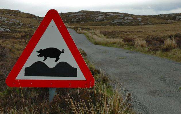 Roadsign on Raasay