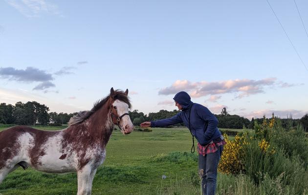 Image of woman and a horse