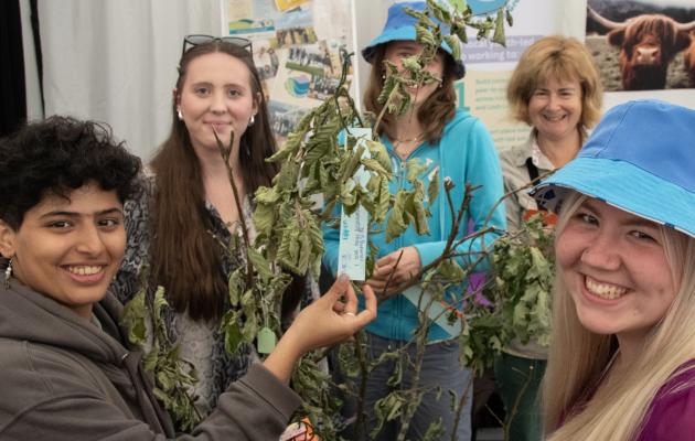 Group of young people with tree